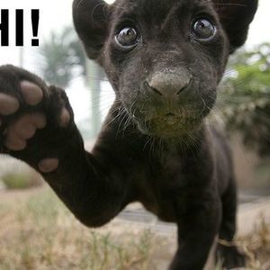 Meet your Posher, Deb